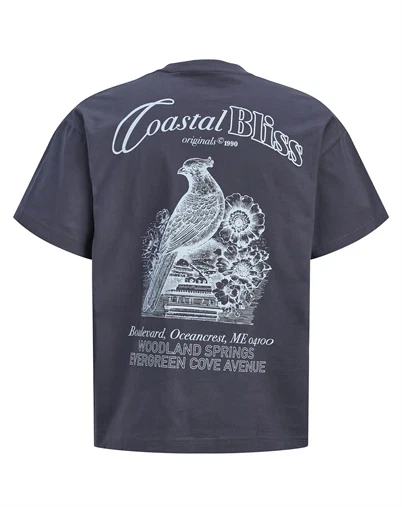 Jack & Jones - JORMaine Back Crew T-Shirt - Odyssey Gray